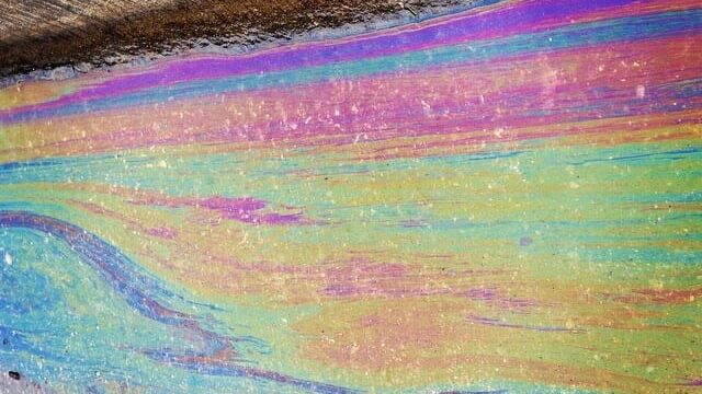 Toxic Beauty