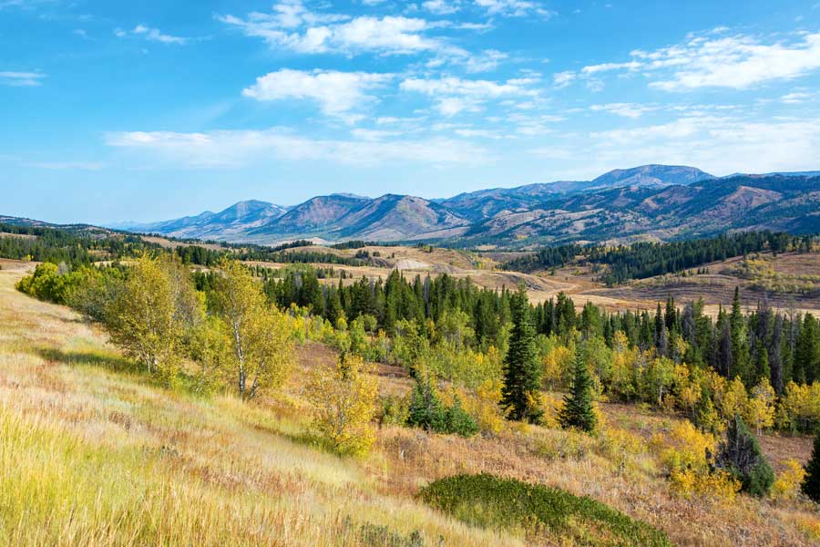 Mountain landscape with lush forests and rolling hills in the background.