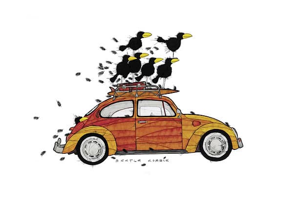 BEETLE CORBIE