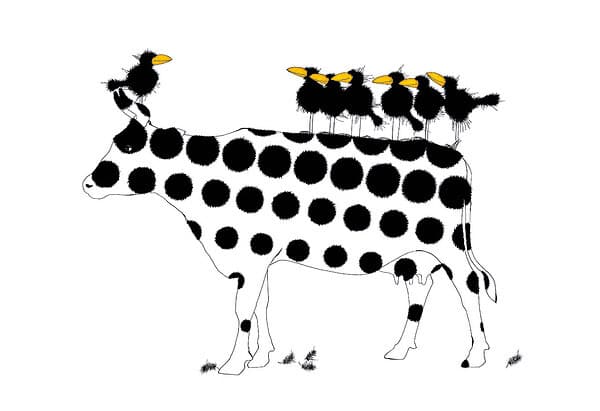 COWBIRDS