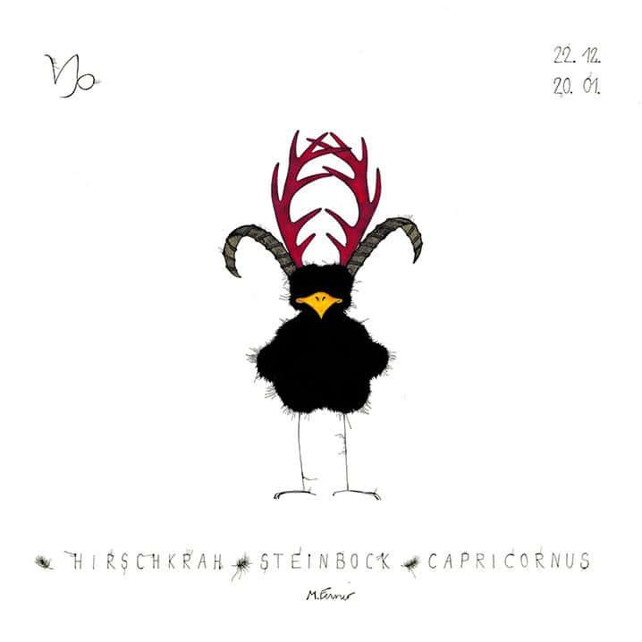 HIRSCHKRAH STEINBOCK - CAPRICORNUS