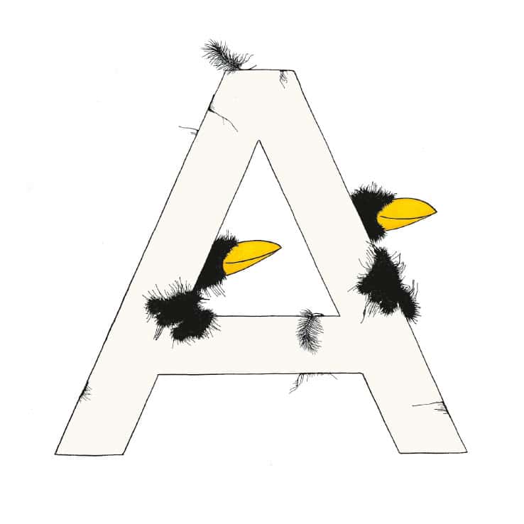 „A“ DAS GROSSE RABENALPHABET