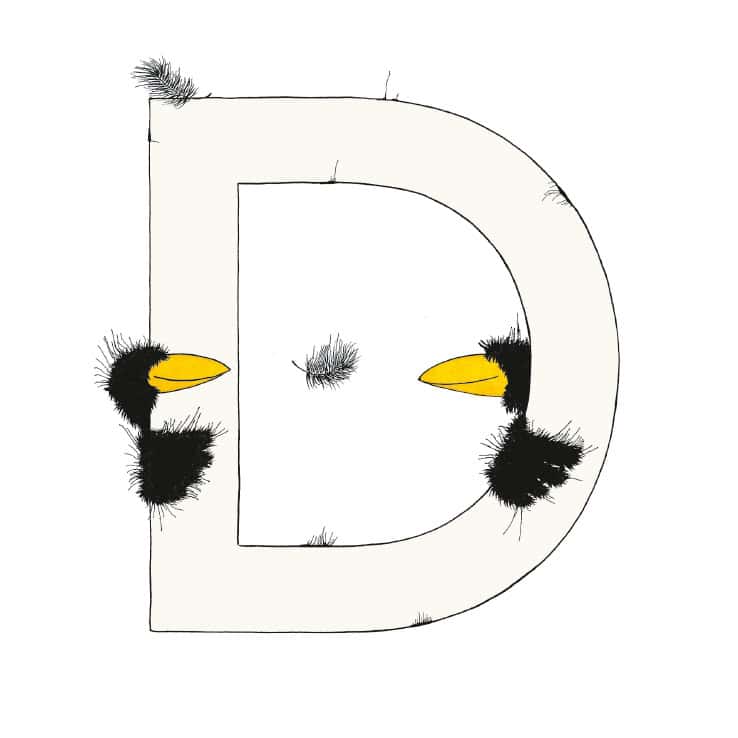 „D“ DAS GROSSE RABENALPHABET