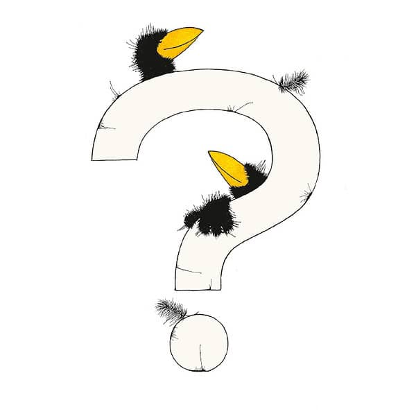 „?“ DAS GROSSE RABENALPHABET