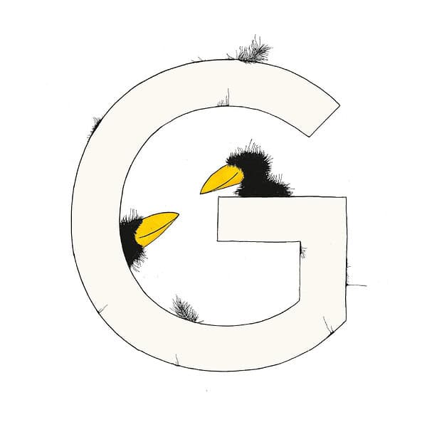 „G“ DAS GROSSE RABENALPHABET