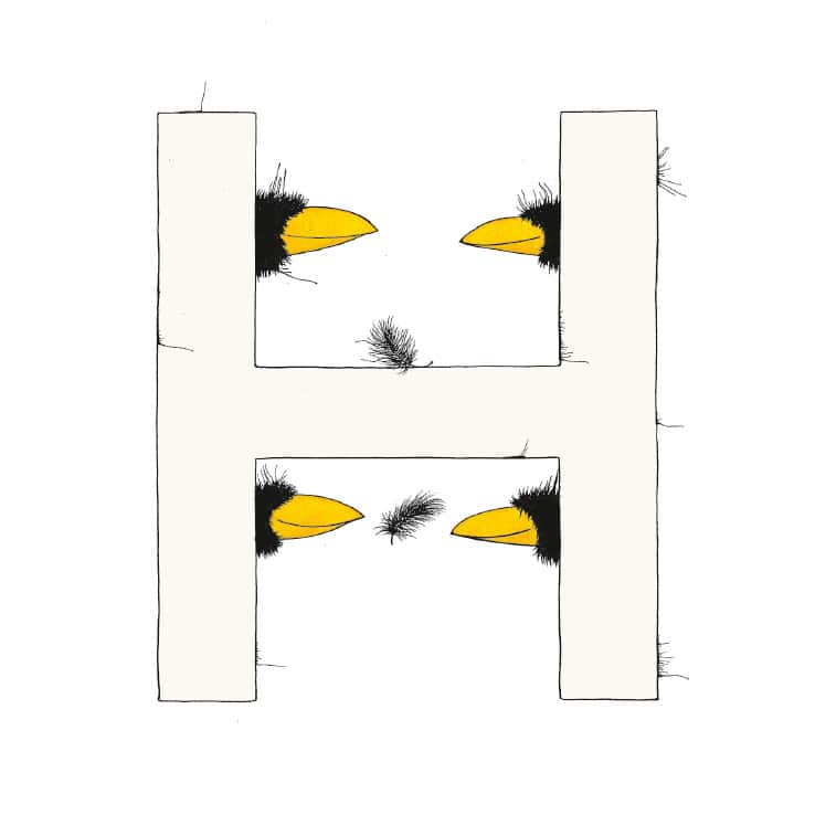 „H“ DAS GROSSE RABENALPHABET