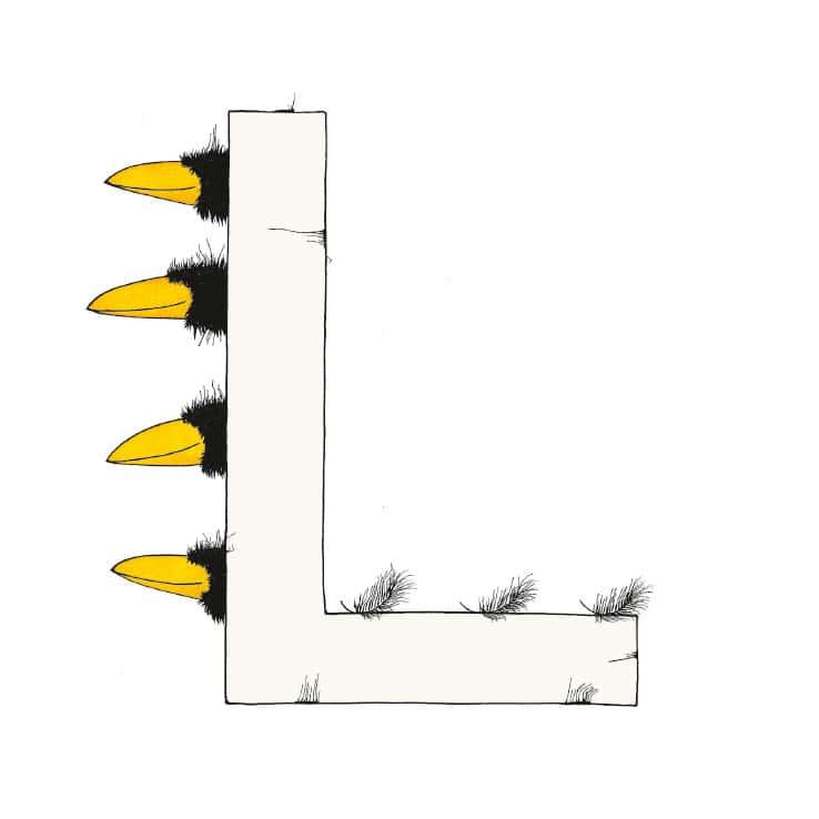 „L“ DAS GROSSE RABENALPHABET
