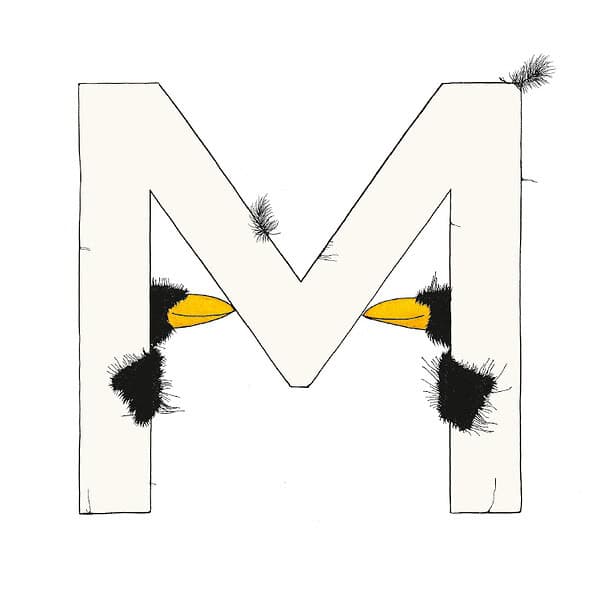 „M“ DAS GROSSE RABENALPHABET