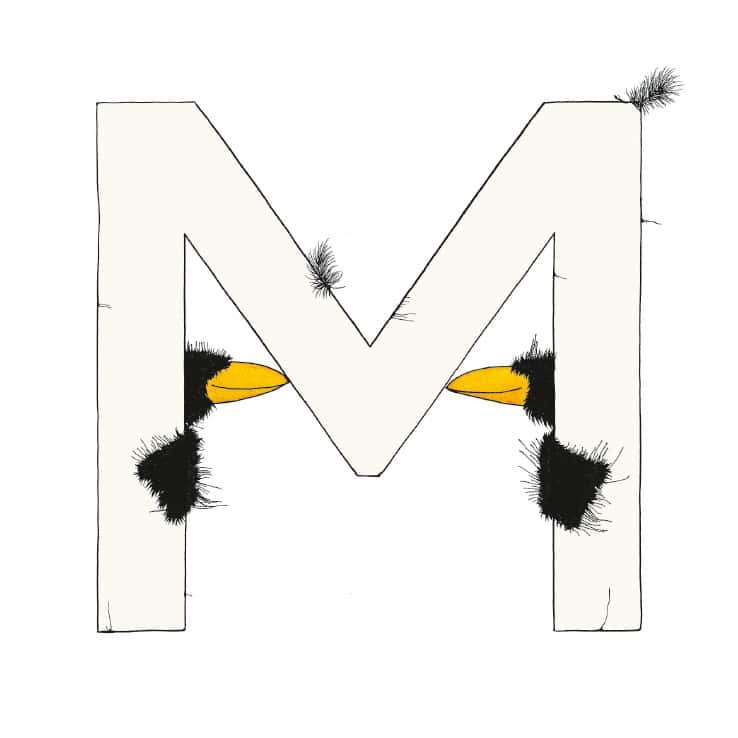 „M“ DAS GROSSE RABENALPHABET