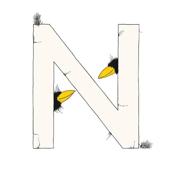 „N“ DAS GROSSE RABENALPHABET