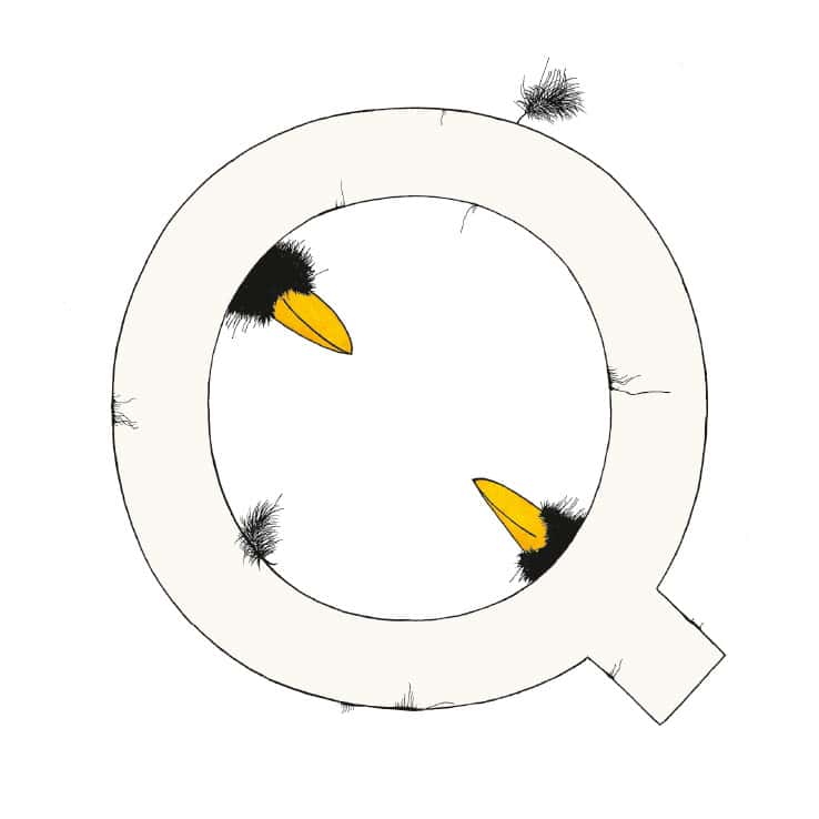 „Q“ DAS GROSSE RABENALPHABET