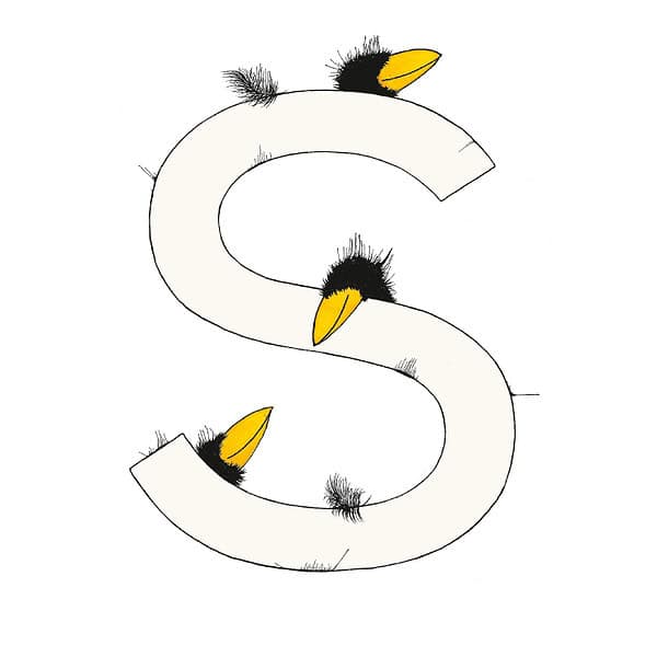 „S“ DAS GROSSE RABENALPHABET