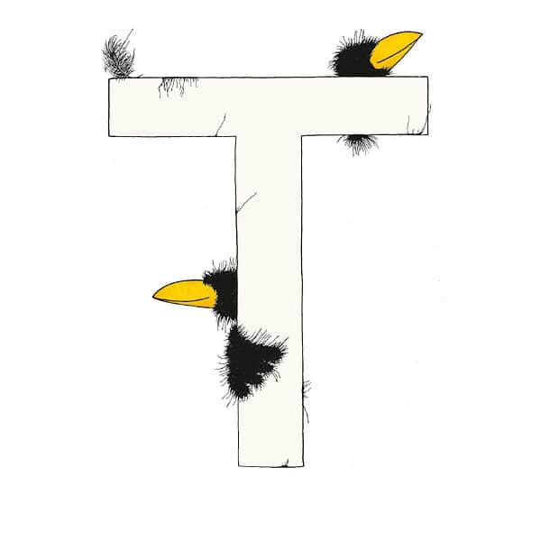 „T“ DAS GROSSE RABENALPHABET