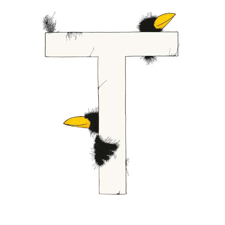 „T“ DAS GROSSE RABENALPHABET