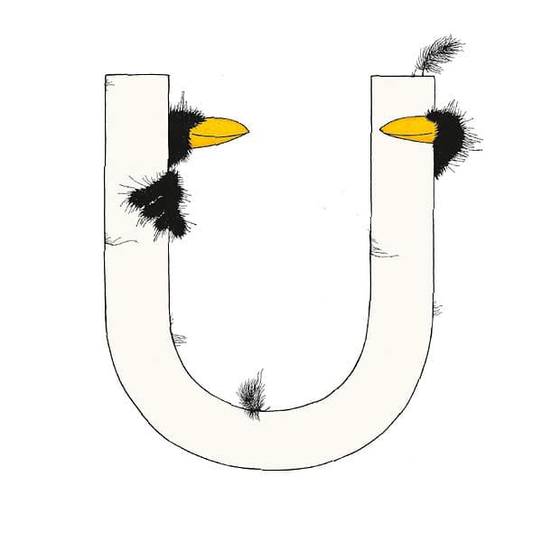 „U“ DAS GROSSE RABENALPHABET