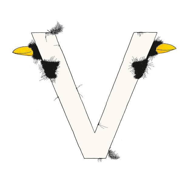 „V“ DAS GROSSE RABENALPHABET