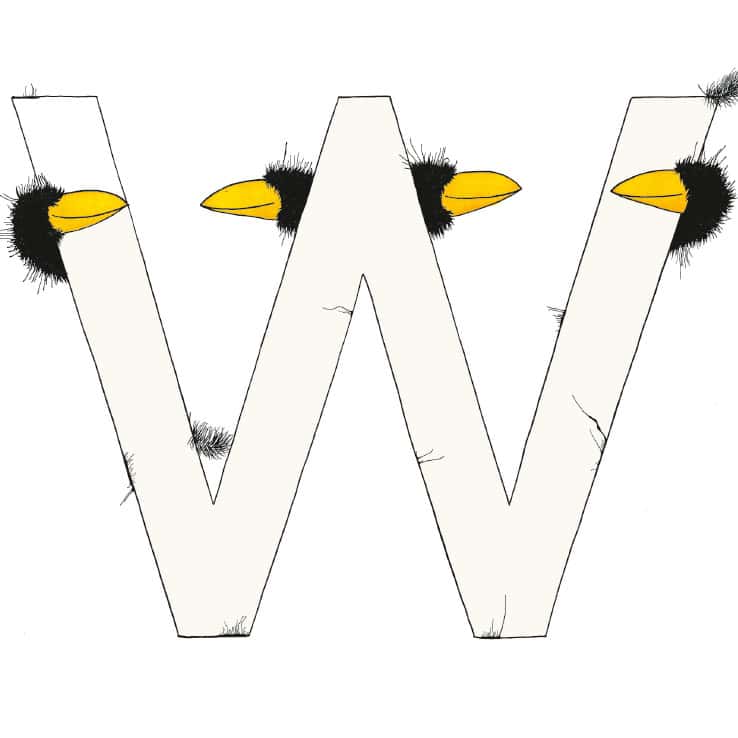 „W“ DAS GROSSE RABENALPHABET