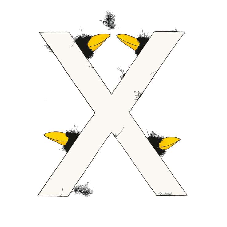 „X“ DAS GROSSE RABENALPHABET