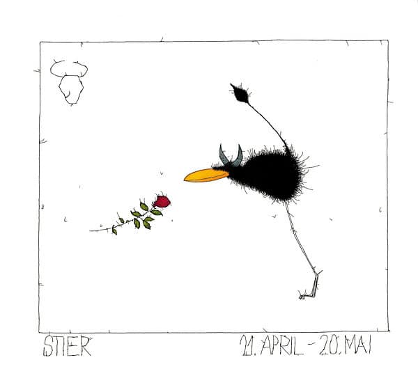 STIER