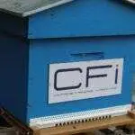 Parrainer une ruche pour deux ans