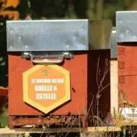 Parrainer une ruchette pour deux ans