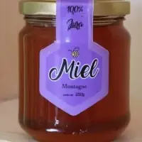 Dégustez la saveur unique du miel de montagne du Jura avec notre pot de 250g