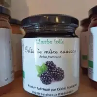Gelée de mûre sauvage