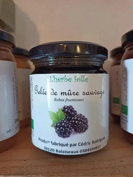 Gelée de mûre sauvage