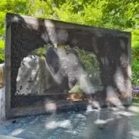 paquet d'abeille avec reine buckfast fécondé F1