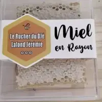Miel en rayon - Idéal pour découvrir le miel brut