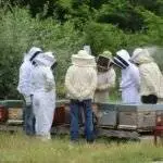 Cours d'apiculture - Initiation et pratique à l'apiculture 2026 - Rucher école