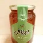 Miel de sapin du Jura – Récolte 2025