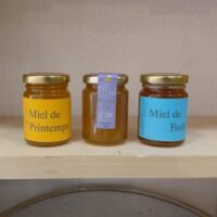 printemps-montagne-foret-125g