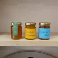 sapin-printemps-foret-125g