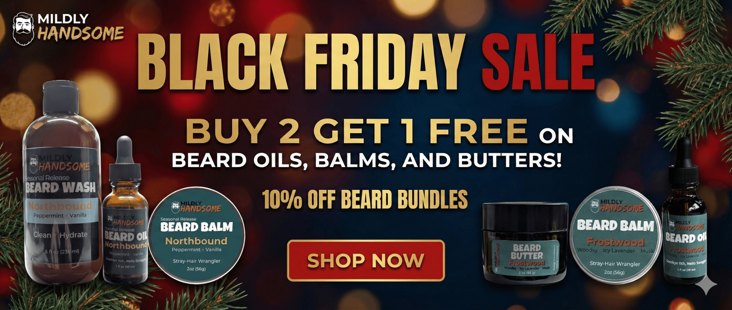 Black Friday Sale 2025