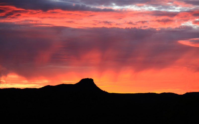 Prescott mental health billing