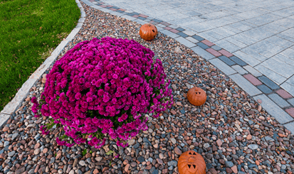 Paver patio
