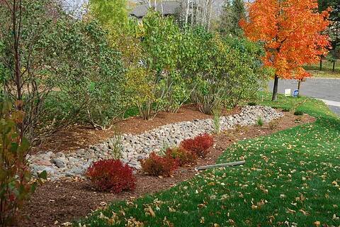 Medium Drainage