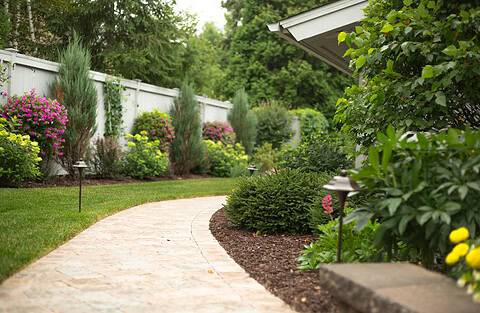 Medium Garden