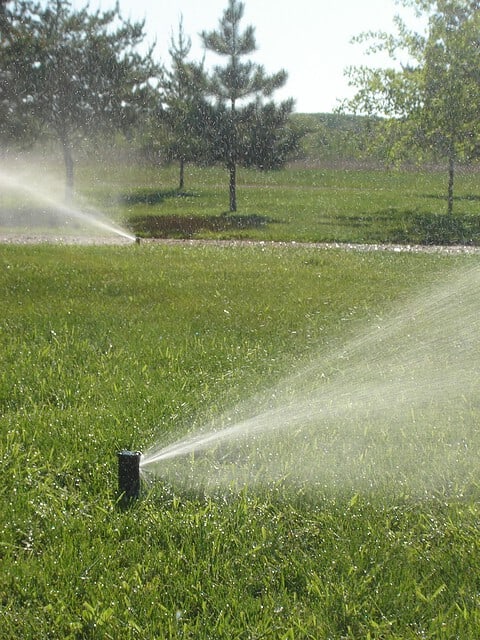 Medium Irrigation