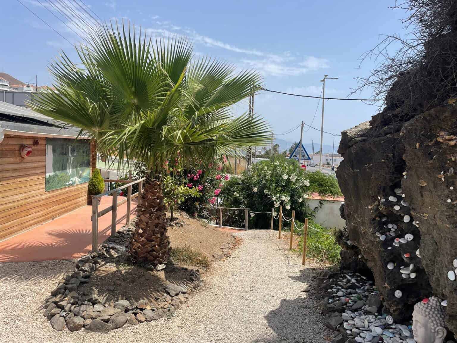 Área de camping para autocaravanas en MiluCar Torrox-Costa con palmeras y zona de descanso.