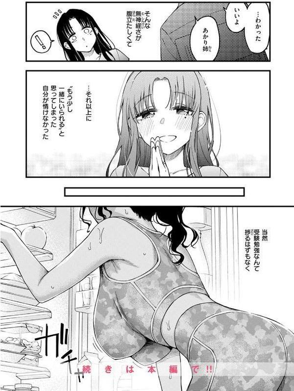 義姉ちゃん、オナホになってよ。前編