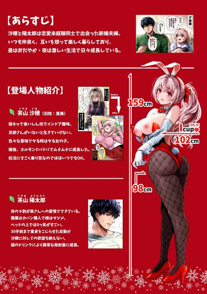 夫婦ノ夜 メリクリ編〜お茶目な奥さんと過ごす聖シコノ夜〜