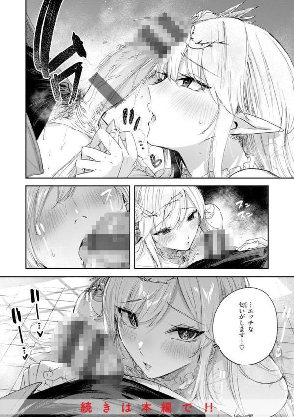 独身ハンターの出逢いはエルフの森で【単行本版】