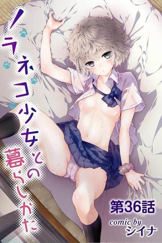 ノラネコ少女との暮らしかた第8集【合本版】