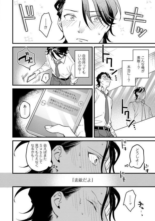 エリートSubは王子様に躾けられたい【極】 【電子限定かきおろし漫画付】