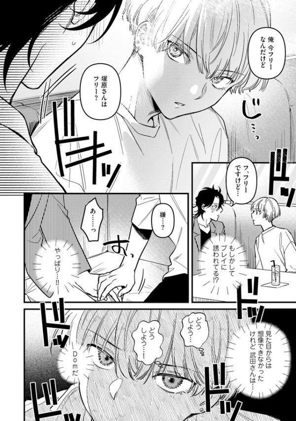 エリートSubは王子様に躾けられたい【極】 【電子限定かきおろし漫画付】