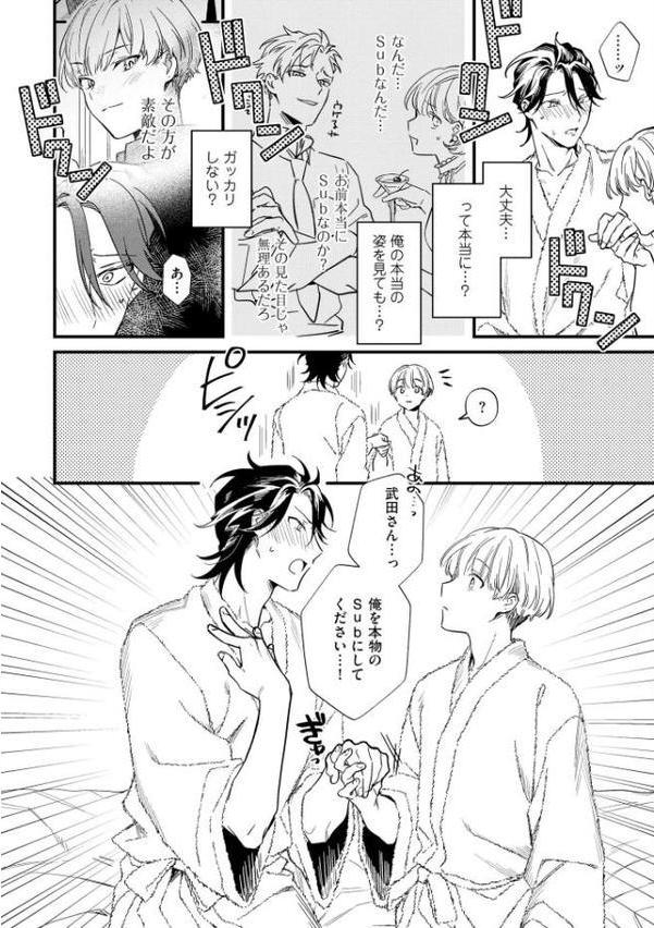 エリートSubは王子様に躾けられたい【極】 【電子限定かきおろし漫画付】