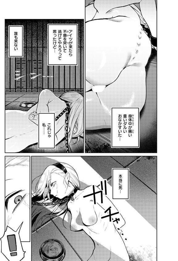 COMIC ゼロス ＃132