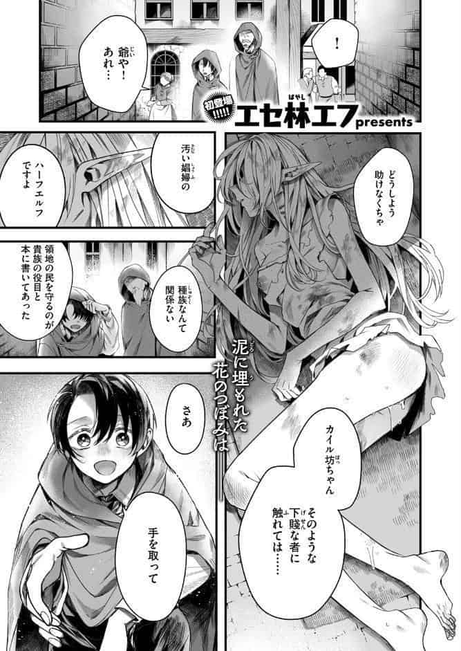 元娼婦のメイドは領主の次男坊に恋をする